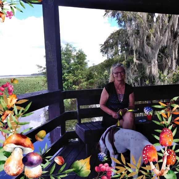 Meet your Posher, Sherry - Picture 1 of 1